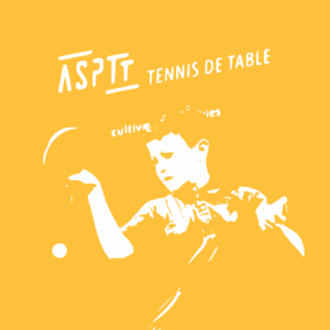 logo jaune mael laouenan